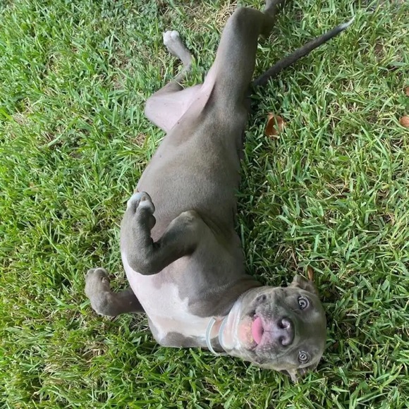 Meet your Posher, Trish 🤩 - Picture 5 of 16